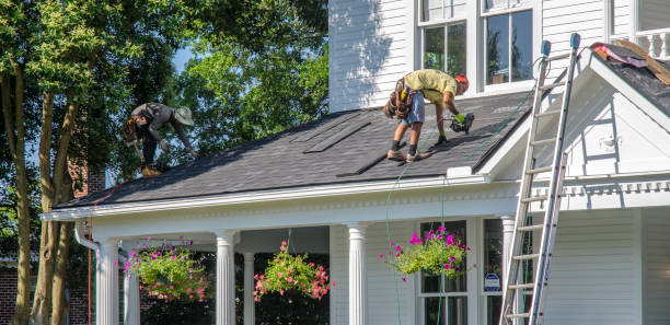 Best Roof Moss and Algae Removal  in Cresson, TX